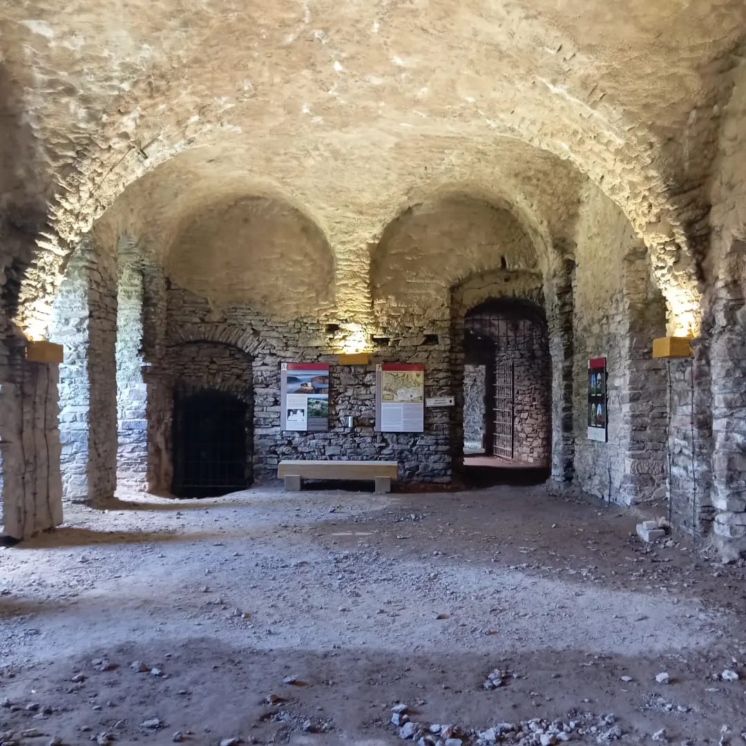 Zamek Świny